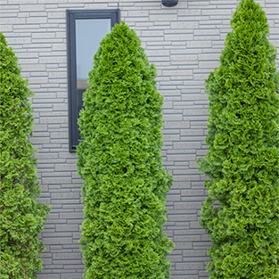 オフィス概要 画像6