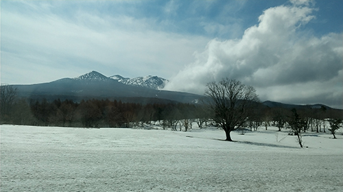 ピティナステップ青森